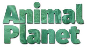 Animal Planet logo