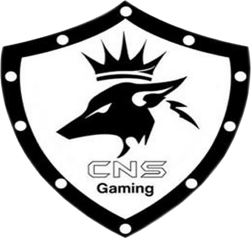 Click 'N Search logo