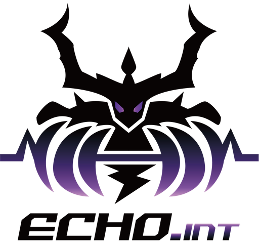 Echo International logo