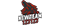 Newteam123123 logo