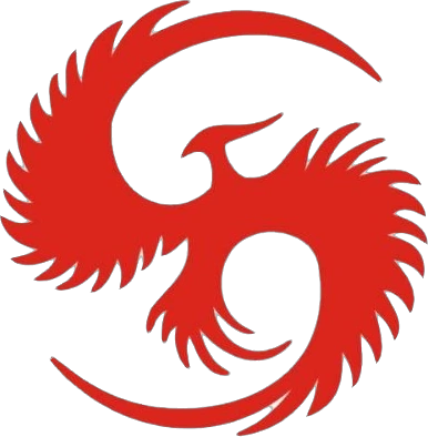 Nirvana.int logo