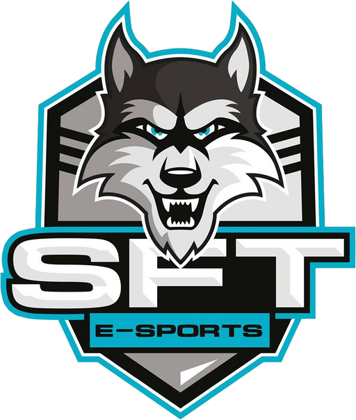 SFTe-sports logo