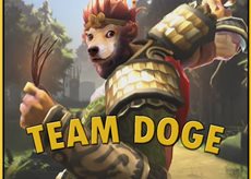 Team Doge logo