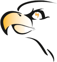 Thunderbirds logo