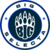 BIG SELECTA logo