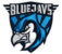 BLUEJAYS Sports logo