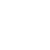 Nelesta Esport logo