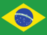 Team Brazil logo
