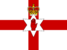 Team Northern Ireland logo