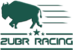 Zubr Racing logo